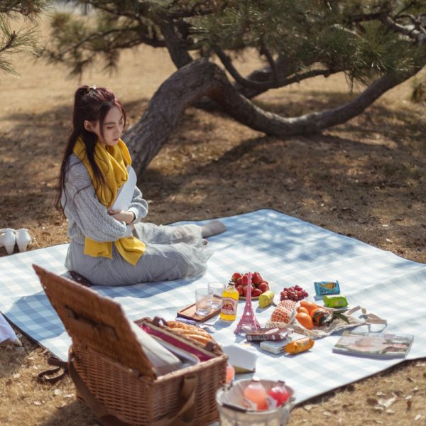 Waterproof Thick Lawn Picnic Mat - Image 6