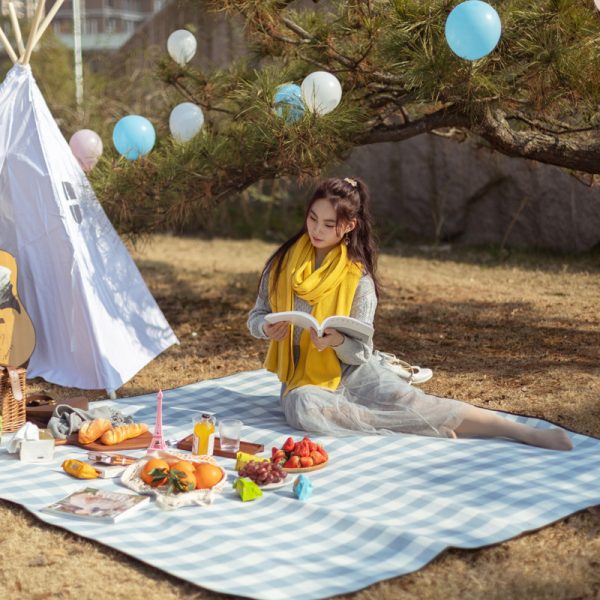 Waterproof Thick Lawn Picnic Mat - Image 3