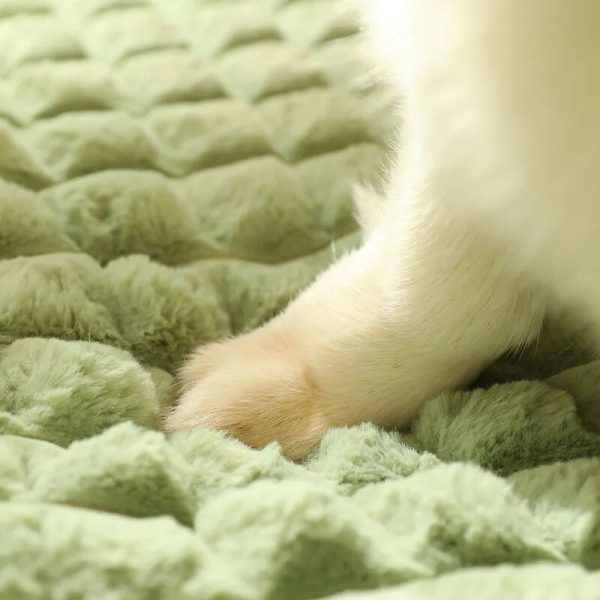 Plush Dog Bed Removable Cushion Super Soft - Image 5
