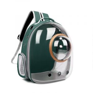 Transparent Panoramic Pet Capsule Backpack